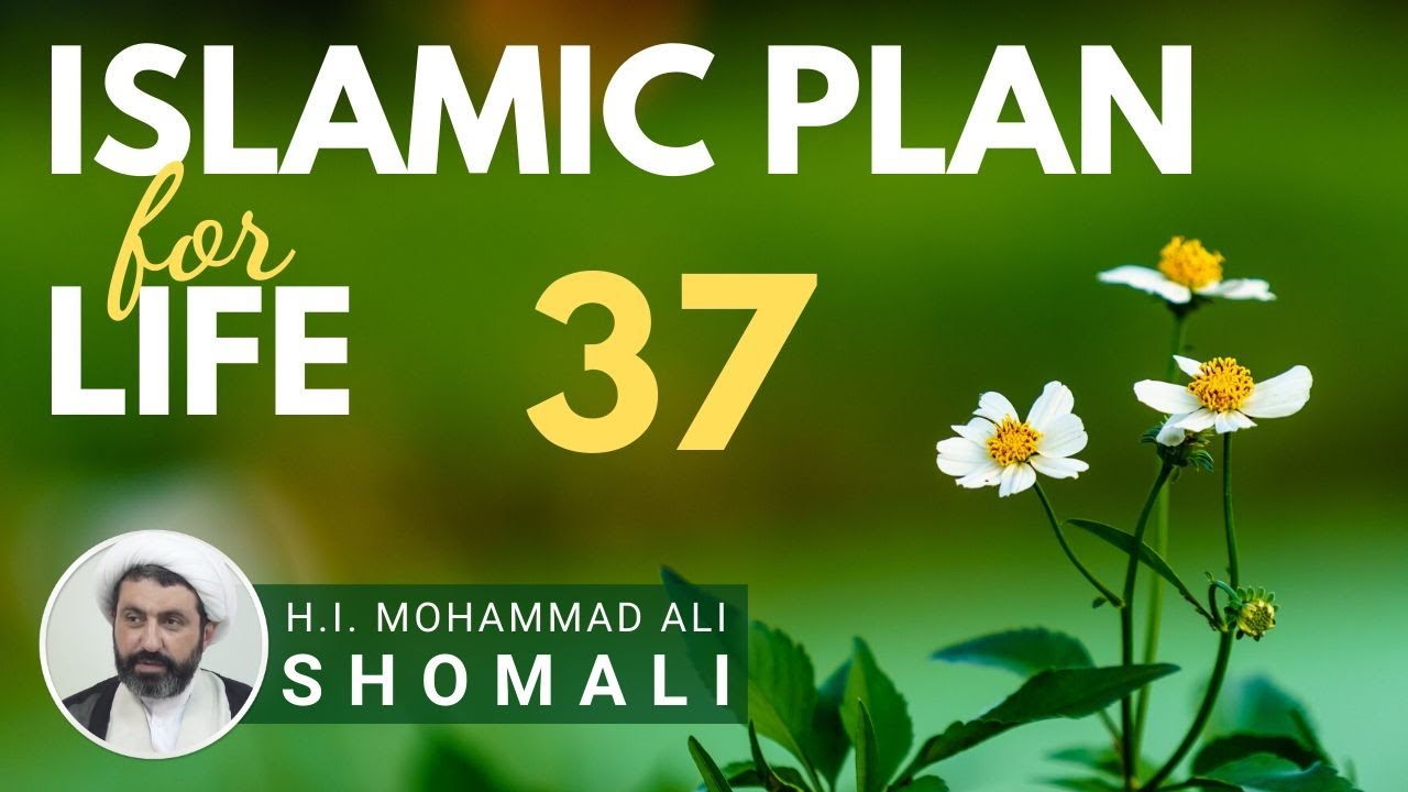 Mohammad Ali Shomali